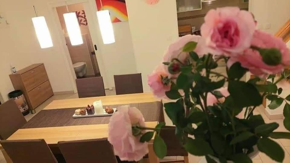 Villa Danica Labin  Eksteriør billede